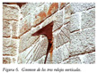 Monasterio de El Paular, gnomon relojes verticales