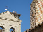 ES_MAD_MAD Casarrubuelos-001-02 Iglesia-de-Santiago-Apóstol
