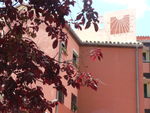ES_MAD_MAD Madrid-014-02 Miguel-Servet-12