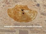 ES_CLM_CUE Mira-001-02 Iglesia-de-La-Asunción