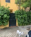 ES_MAD_MAD Madrid-153-02 calle Pardo-Bazan 24